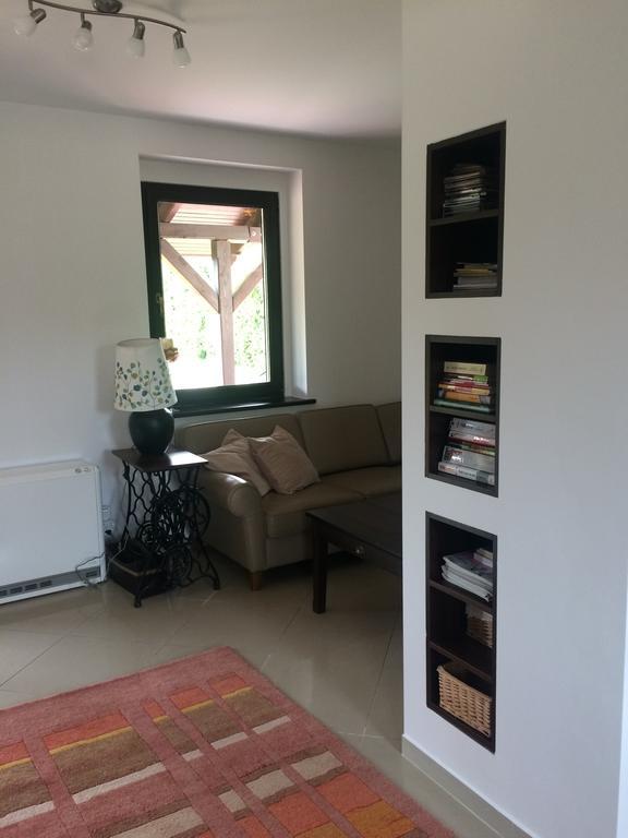 Dom Relaks & Wypoczynek Villa Skoki Ngoại thất bức ảnh